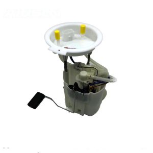 Fuel Pump 16117300481
