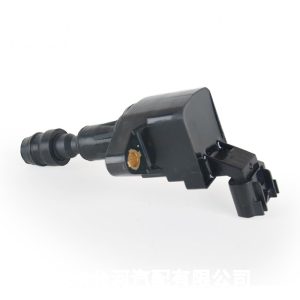 Ignition Coil 12578224-UF491 for Buick