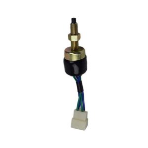 Brake Light Switch SW805465