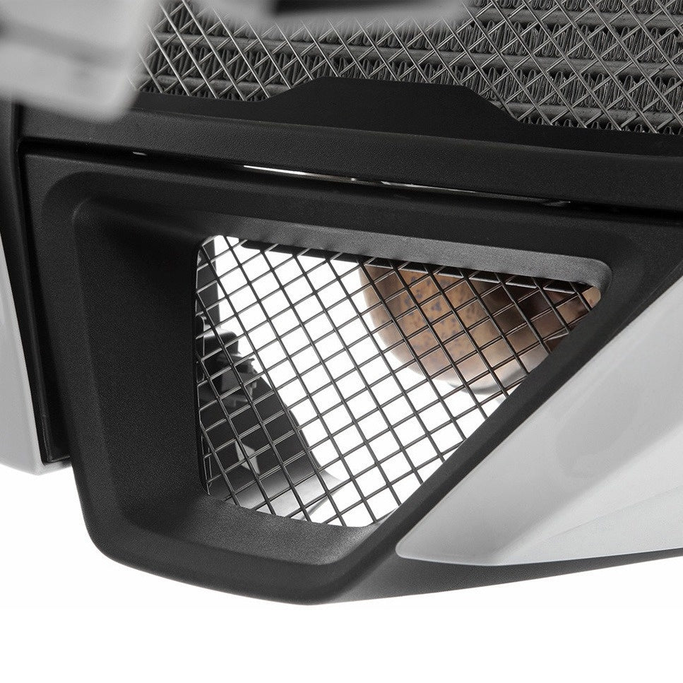 Radiator Grill Guard Compatible with BMW S1000R M1000R - Image 2